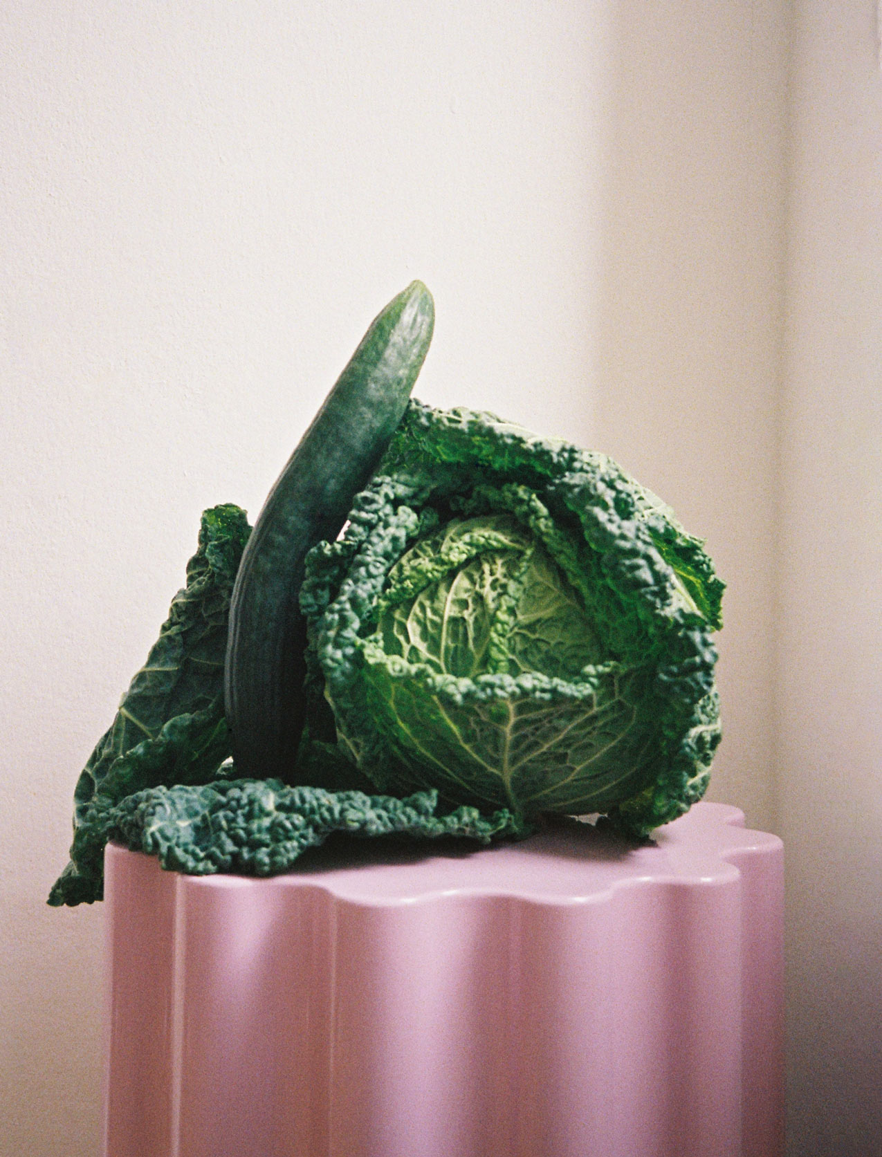 Kohlkopf und Gurke am Fenster platziert