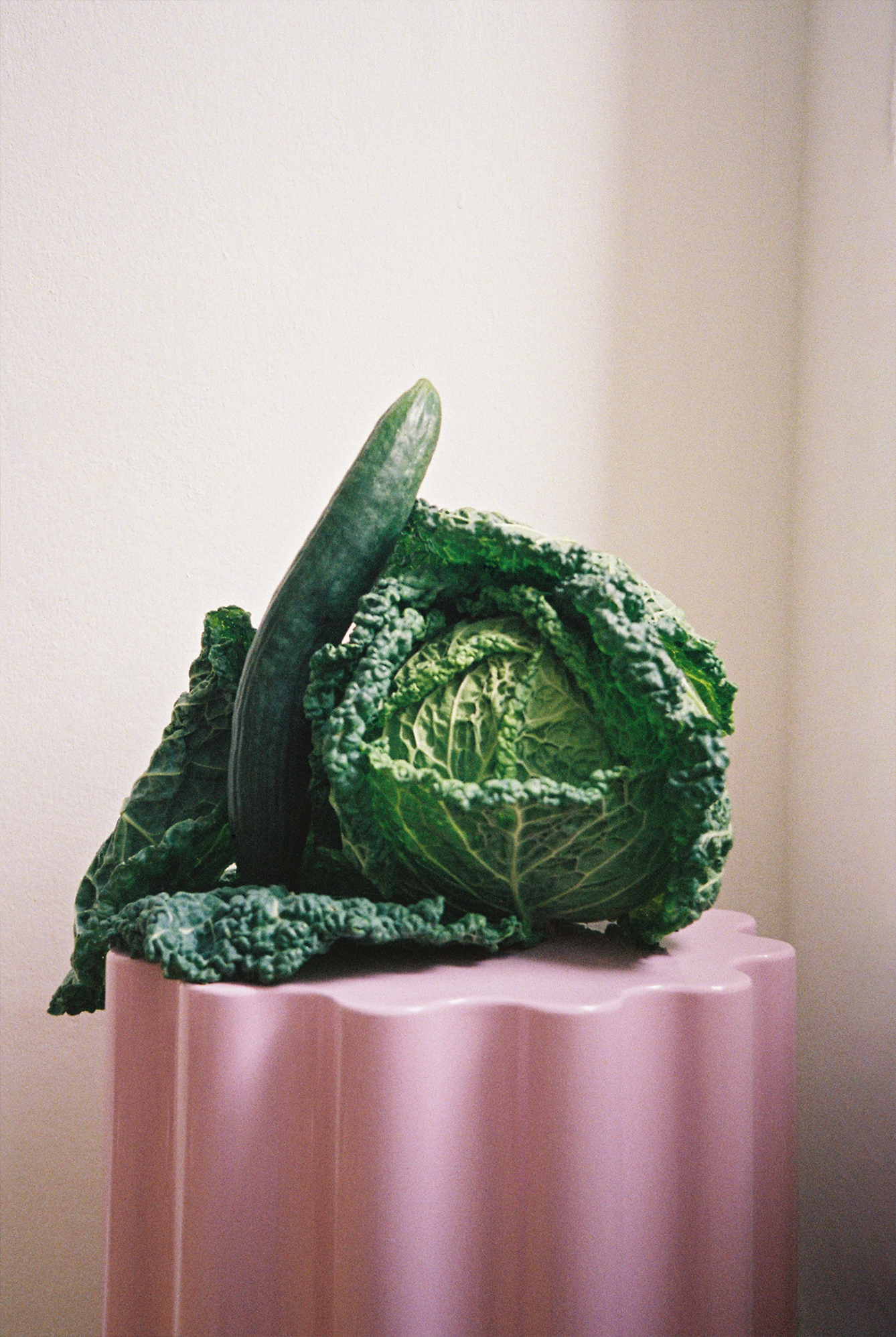 Einkaufsnetz mit frischen Zitrusfrüchten in der Küche